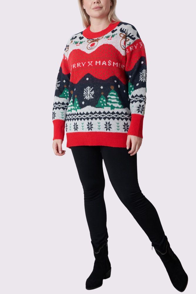 christmas reindeer face womens jumper