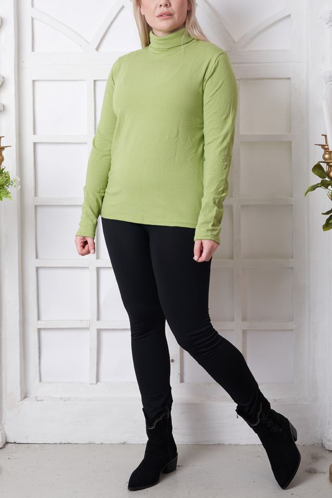 Plain Ribbed Roll Neck Top